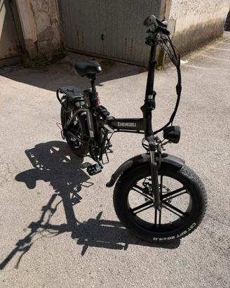 Bici elettrica
