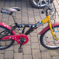 Bicicletta bambino/bambina