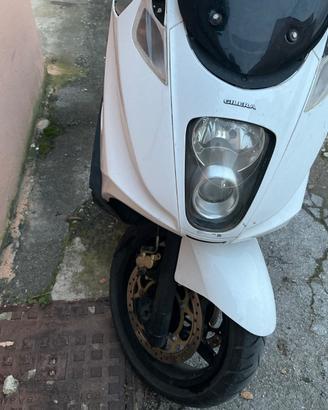 Gilera Gp 800 Centenario