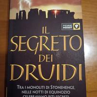 Il segreto dei druidi
