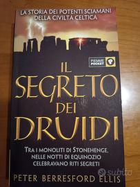 Il segreto dei druidi