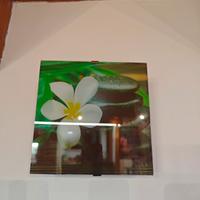 Coppia di applique decorative