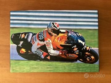 Quadro di Alex Criville