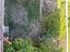 Immagine 23