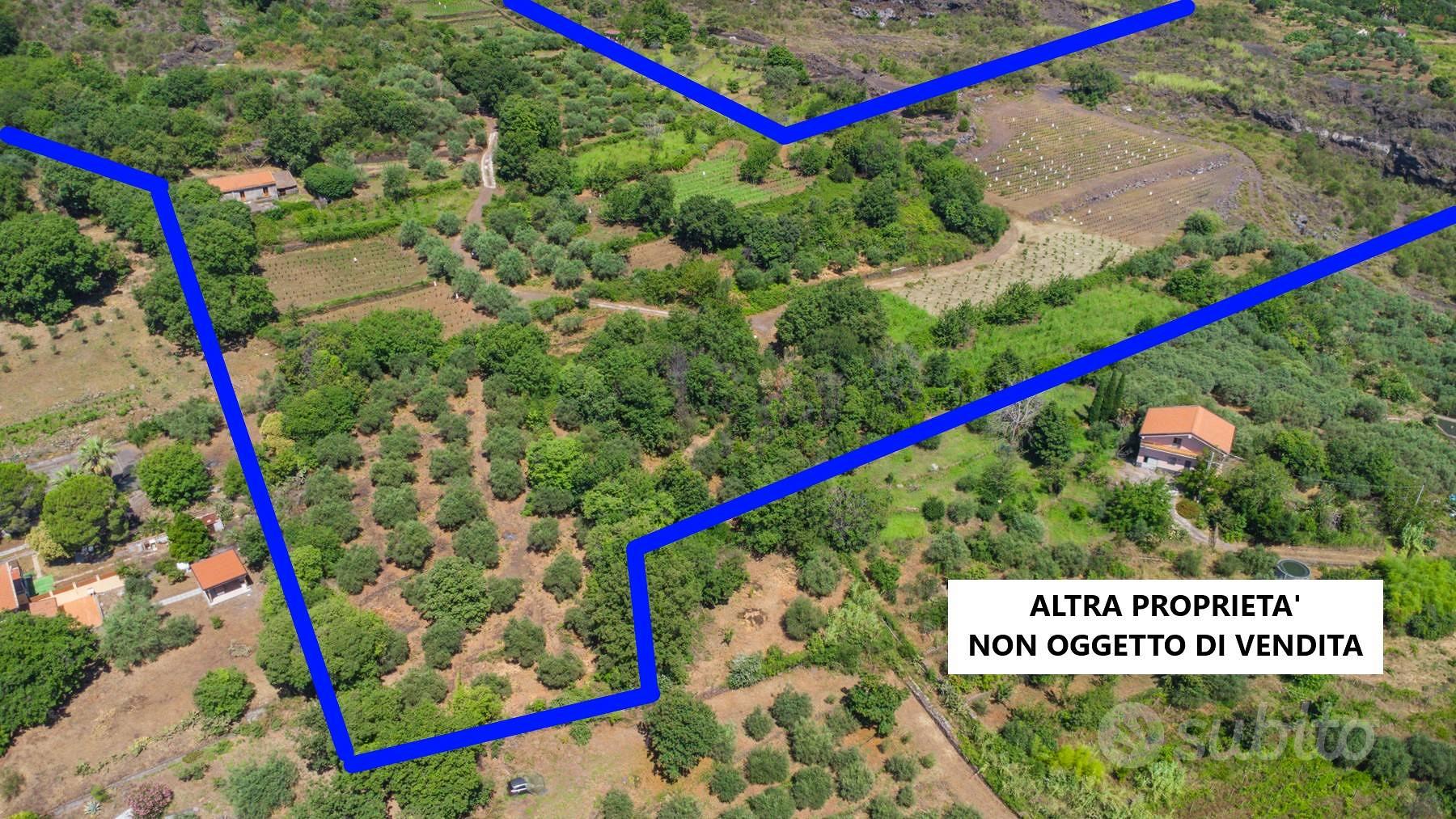 Terreno agricolo - Mascali - Vista 6