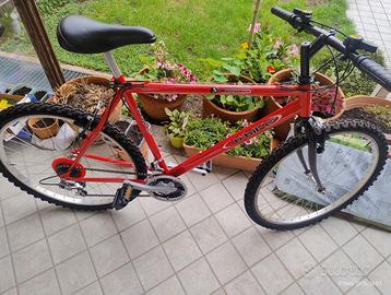 Bicicletta