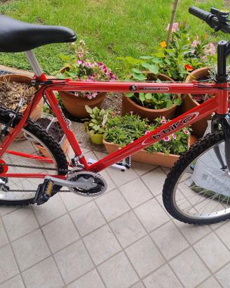 Bicicletta