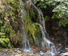 Terreno Agricolo (Santo Stefano Medio, Messina)