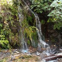 Terreno Agricolo (Santo Stefano Medio, Messina)