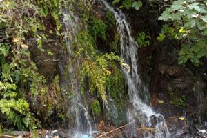 Terreno Agricolo (Santo Stefano Medio, Messina)