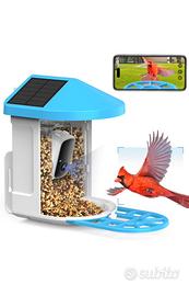 Fototrappola birdwatching con mangiatoia