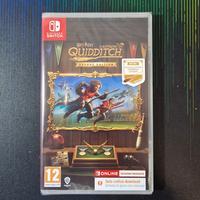 Harry Potter Campioni di Quidditch Deluxe Edition