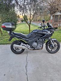 Yamaha TDM 900 - 2004