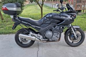 Yamaha TDM 900 - 2004