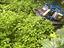Immagine 21