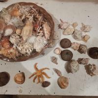 Cesto Misto di Conchiglie e Decorazioni Marine