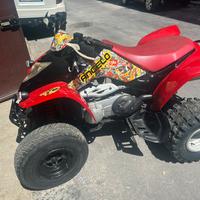Quad kimco kxr 250