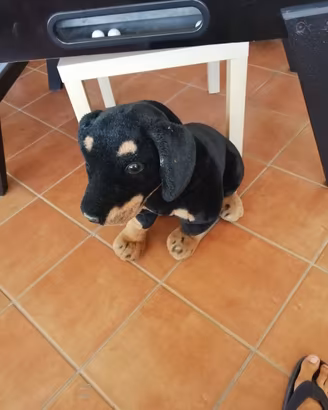 cane giocattoli peluche 