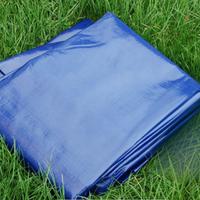 Robusto telo in PE - NUOVO - 10x15mt - 250 gr/mq