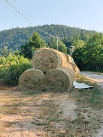 Fieno di Montagna 