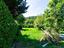 Immagine 18