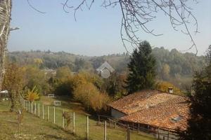 TER. AGRICOLO A PINO TORINESE