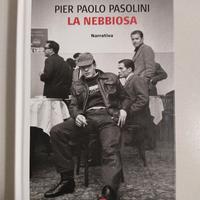 Libro Pier Paolo Pasolini