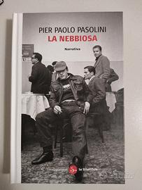 Libro Pier Paolo Pasolini