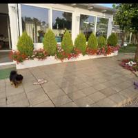 veranda di legno lamellare e infissi 