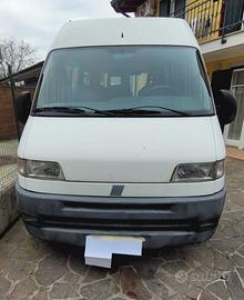Fiat ducato tetto alto