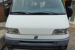 Fiat ducato tetto alto