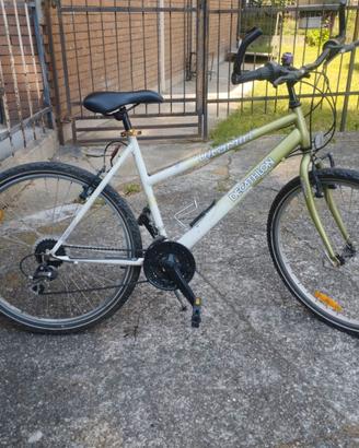 bicicletta MTB 26 donna