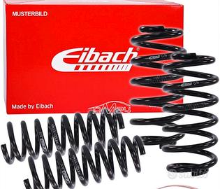 Kit molle eibach polo gti