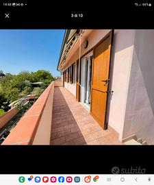 Appartamento con giardino libero luglio