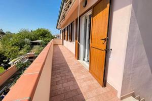 Appartamento con giardino libero luglio