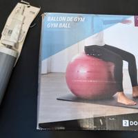 Fitness Gym-ball + Mini-pompa