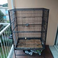 GABBIA PER PAPPAGALLO