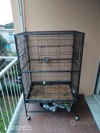 GABBIA PER PAPPAGALLO