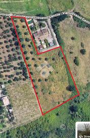 TER. AGRICOLO A SANT'ANGELO ROMANO