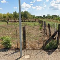 TRAVI IN CASTAGNO