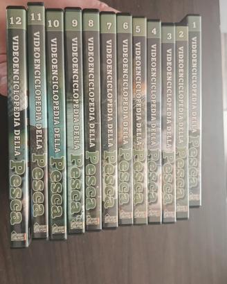 lotto stock dvd video enciclopedia della pesca 1-1