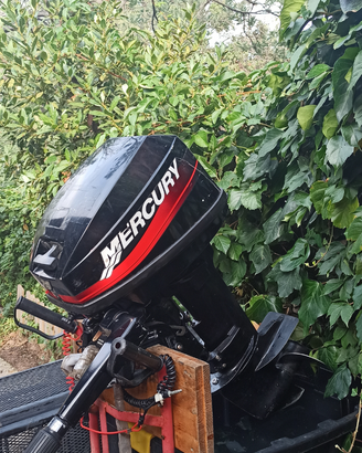 Motore mercury 15 cv 2 t