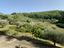 Immagine 28