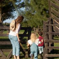 Terreno agricolo piccole attività o investimento