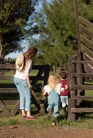 Terreno agricolo piccole attività o investimento