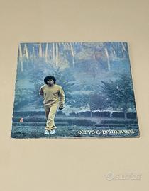 Disco Vinile COCCIANTE CERVO A PRIMAVERA LP 33