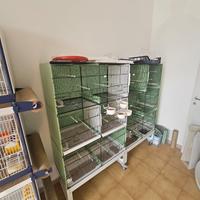 Batterie varie misure