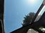 Immagine 23