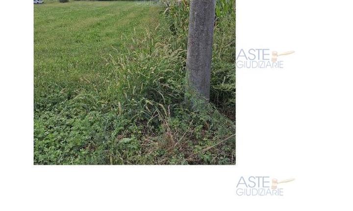 Terreno Agricolo San Giorgio Canavese [A4322294]