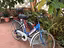 Immagine 3